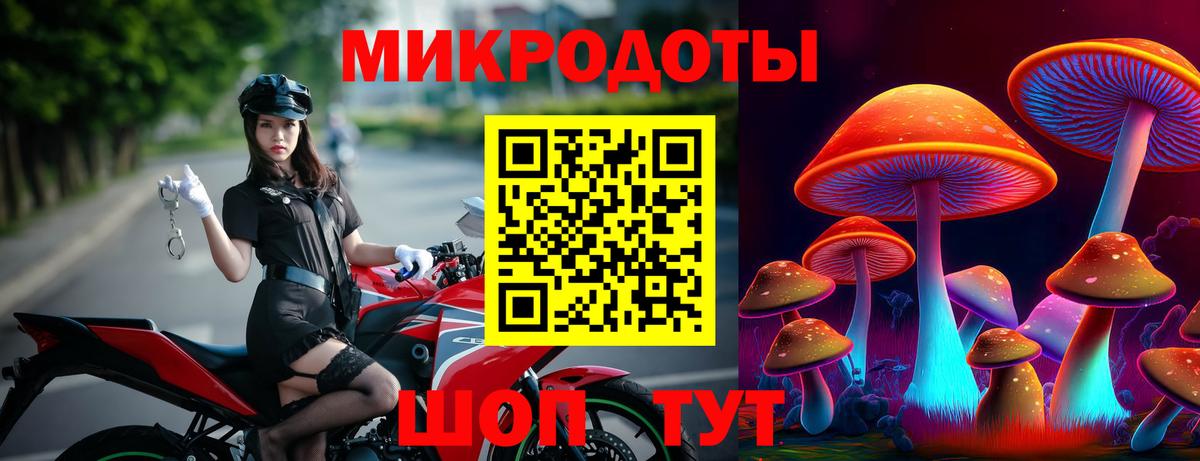 Галлюциногенные грибы Cubensis  Вход с VPN  Павлово 