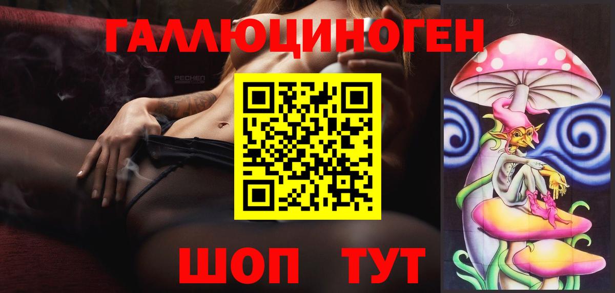 Псилоцибиновые грибы Psilocybe Павлово